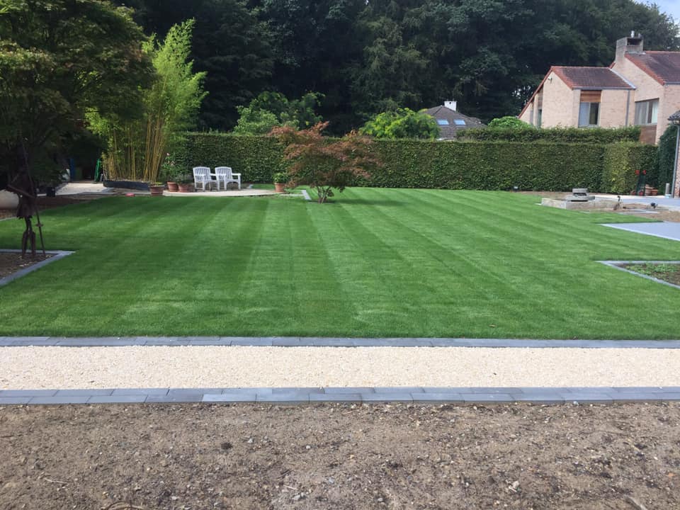 Professioneel gazononderhoud