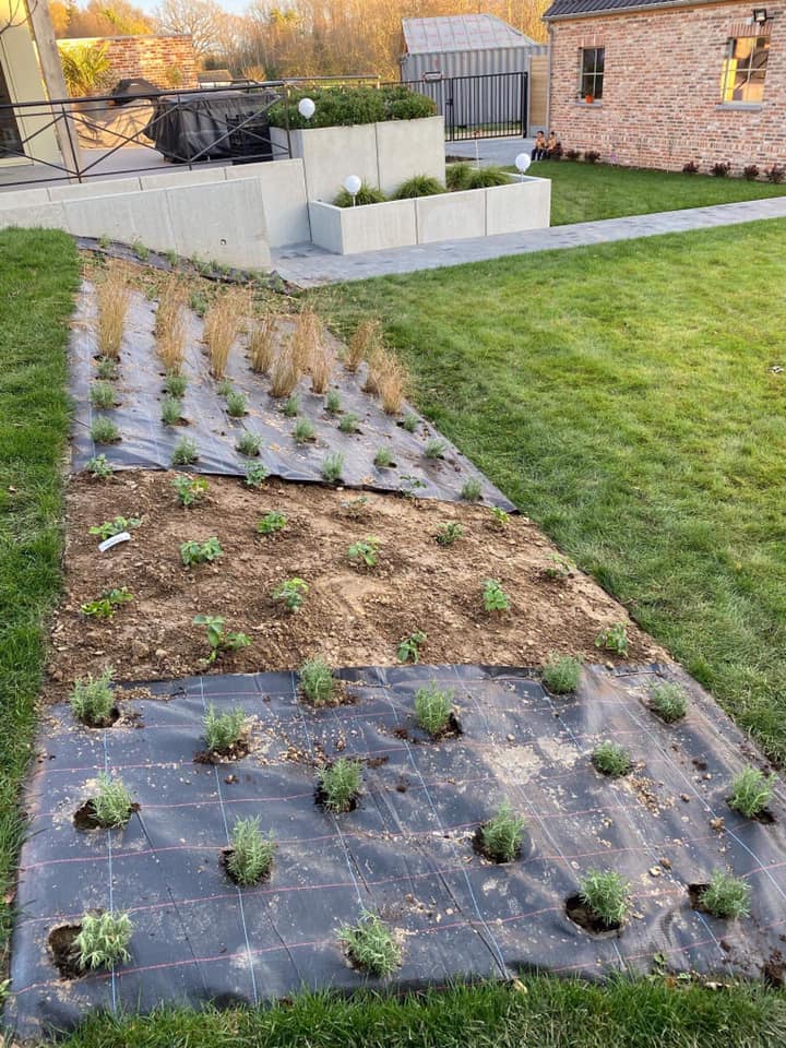 Gespecialiseerd tuinonderhoud